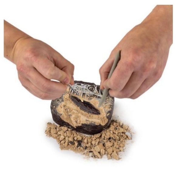 Dino Fossil Dig Kit - Picture 3 of 3